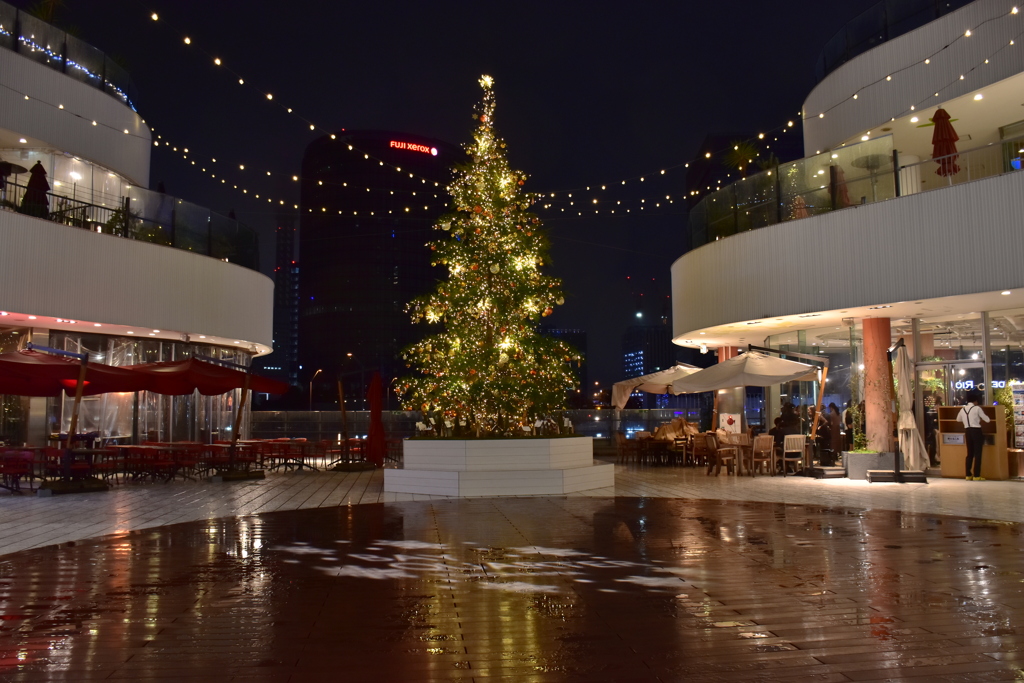 横浜ベイクォーター クリスマスライトガーデン