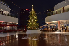 横浜ベイクォーター クリスマスライトガーデン