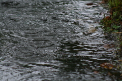 たまには使おうシリーズ canon Digital X