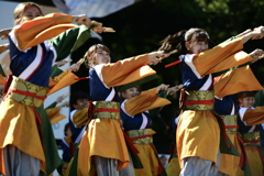 原宿表参道元気祭りよさこい2