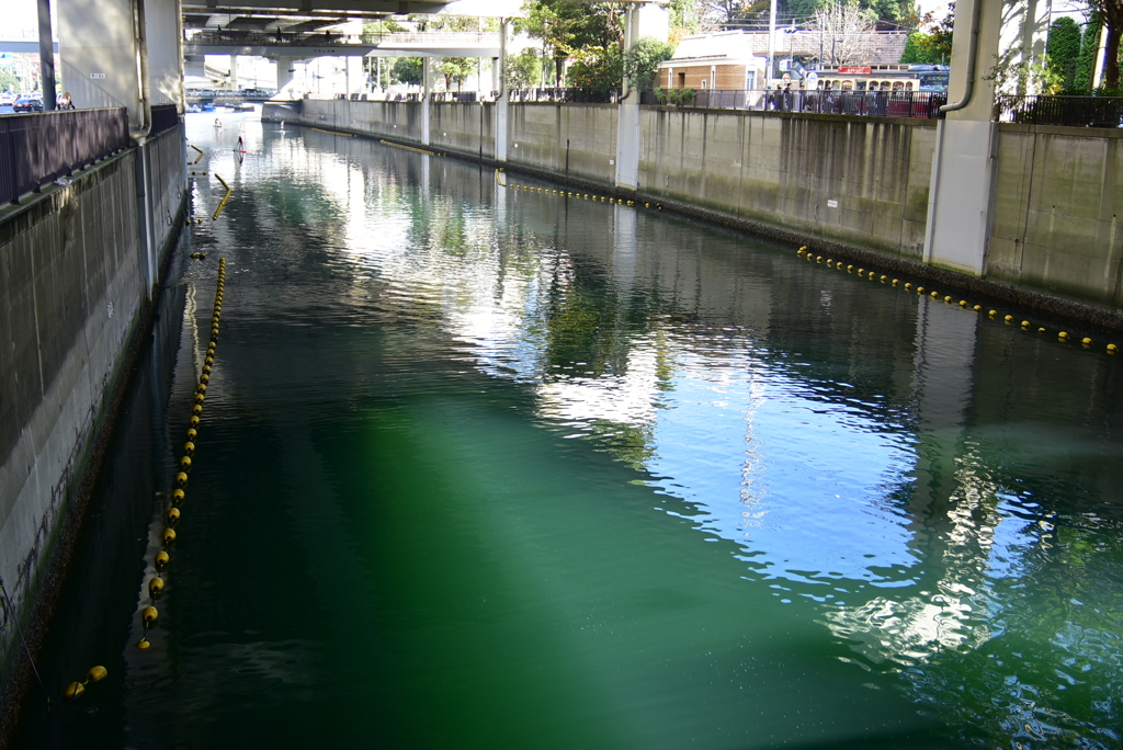 緑の川