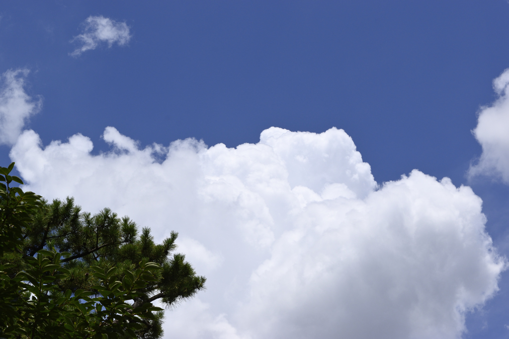 夏空