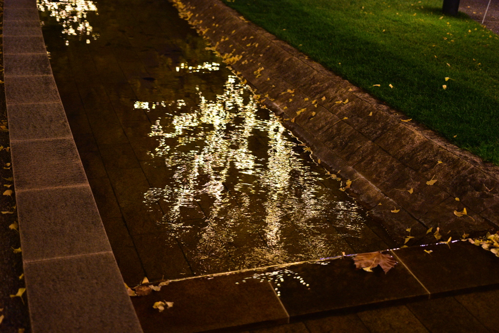 水に写るイルミネーション