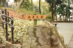 永青文庫