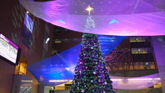 大きなクリスマスツリー