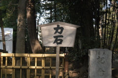 ジョーのライバル