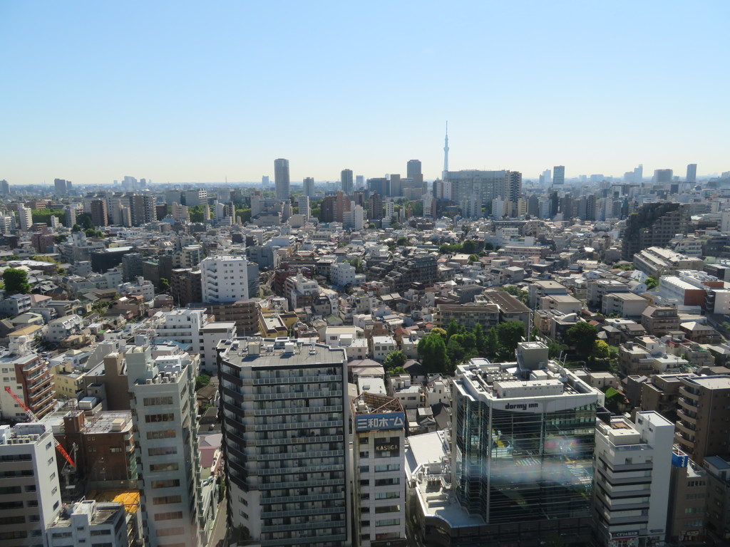 文京区の街並み