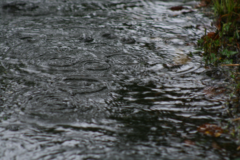 たまには使おうシリーズ canon Digital X