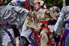 原宿表参道元気祭 スーパーよさこい2019 しん