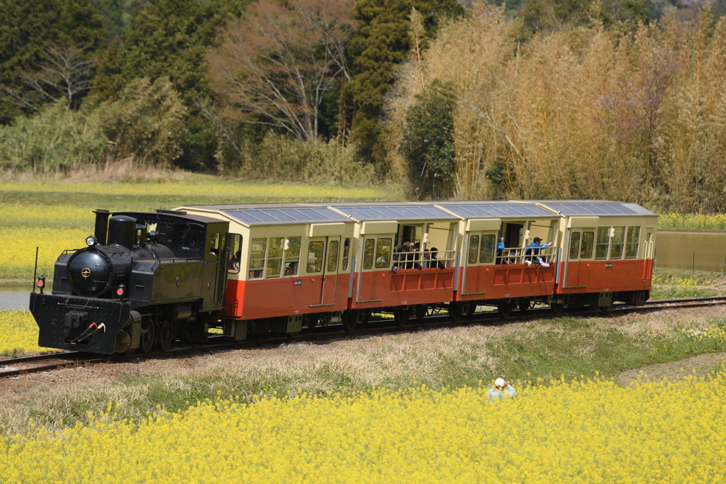 小湊鉄道　トロッコ列車