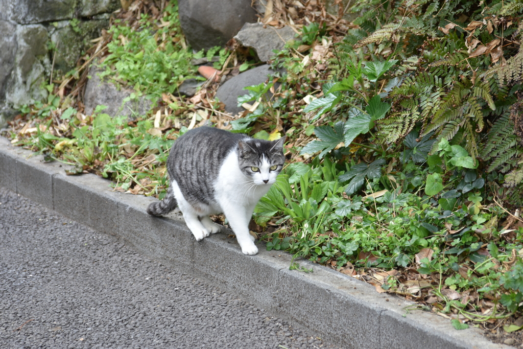 やあ久しぶり