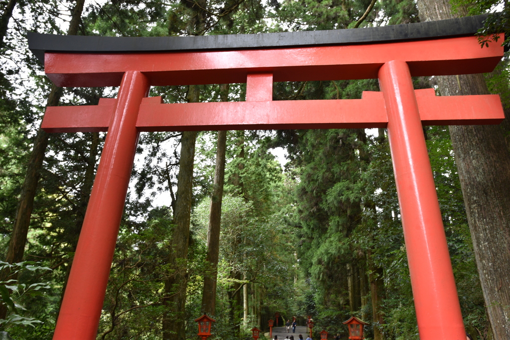 箱根神社鳥井