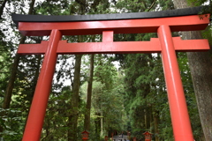 箱根神社鳥井