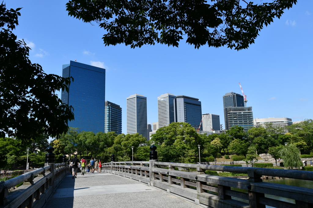 都市と緑