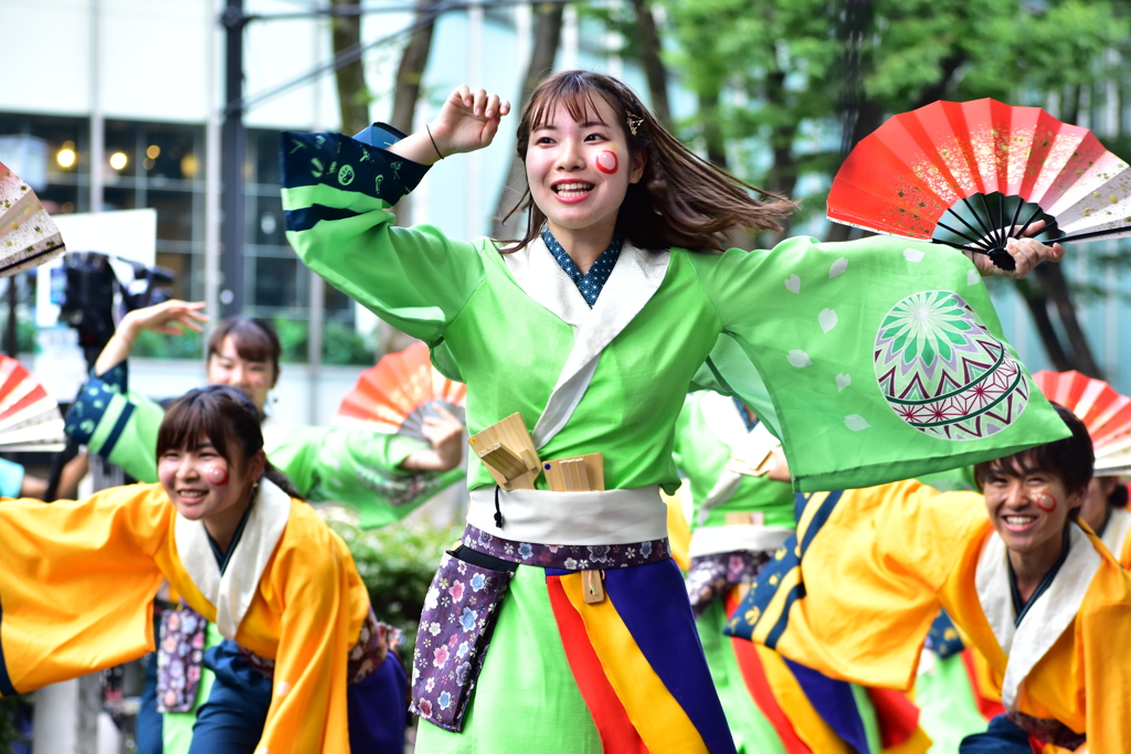 原宿表参道元気祭 早稲田大学よさこいチーム東京花火