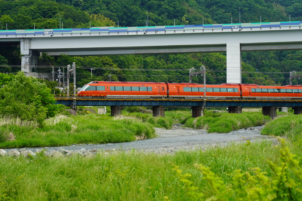 草原を走り抜ける