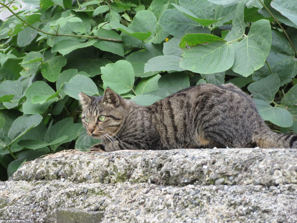 今日が終わる