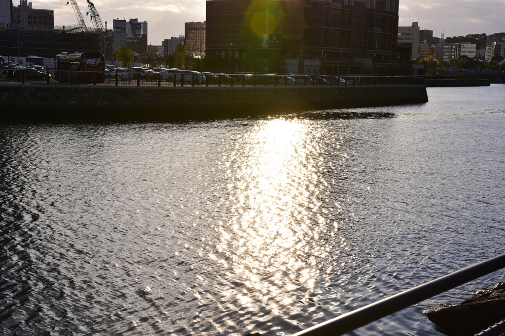 まったり午後のひと時