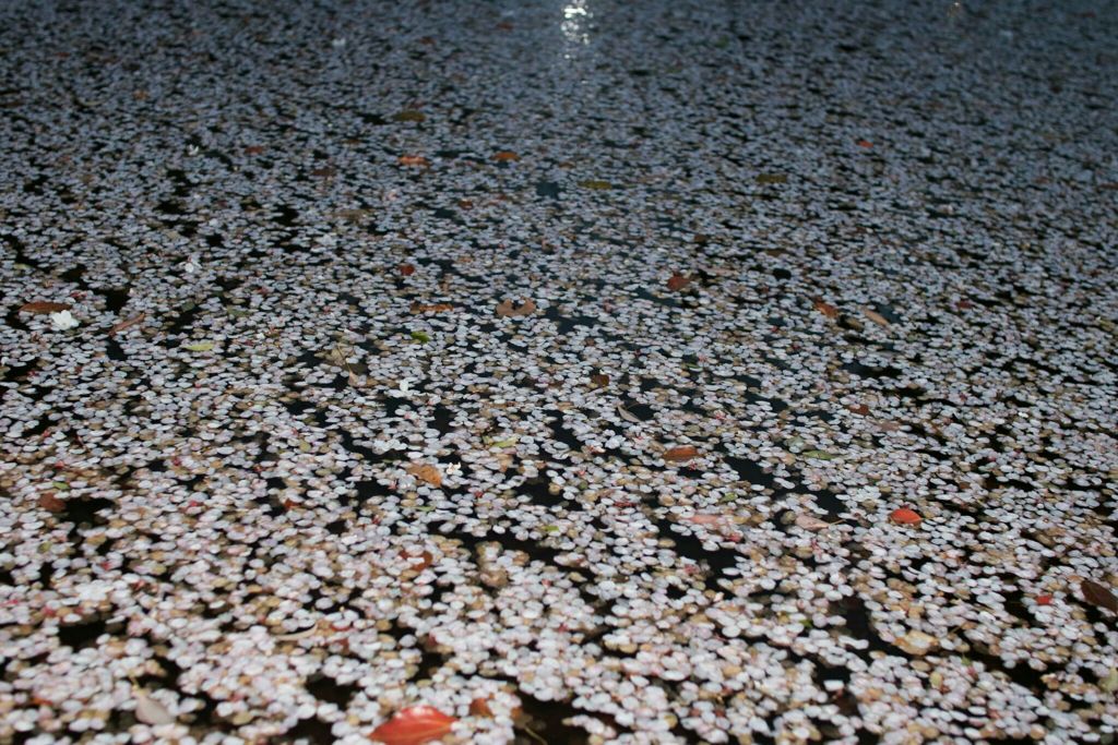 宴の後