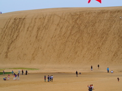 砂丘その３