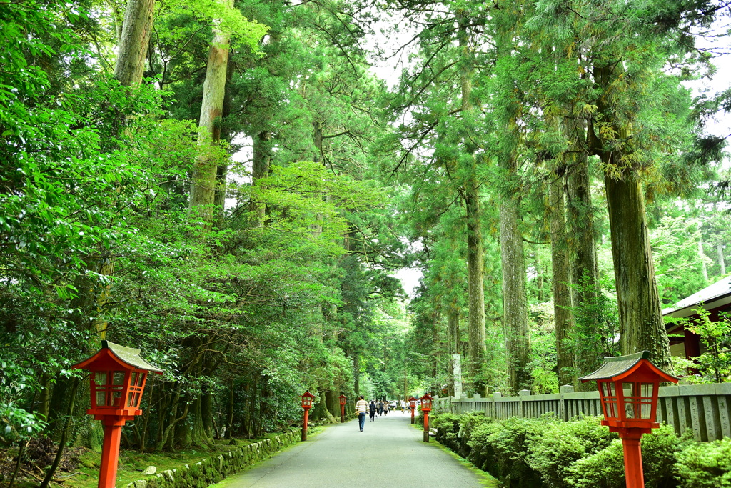 箱根神社　回廊