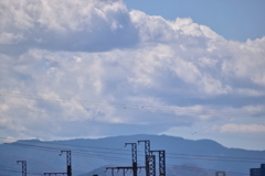 雲
