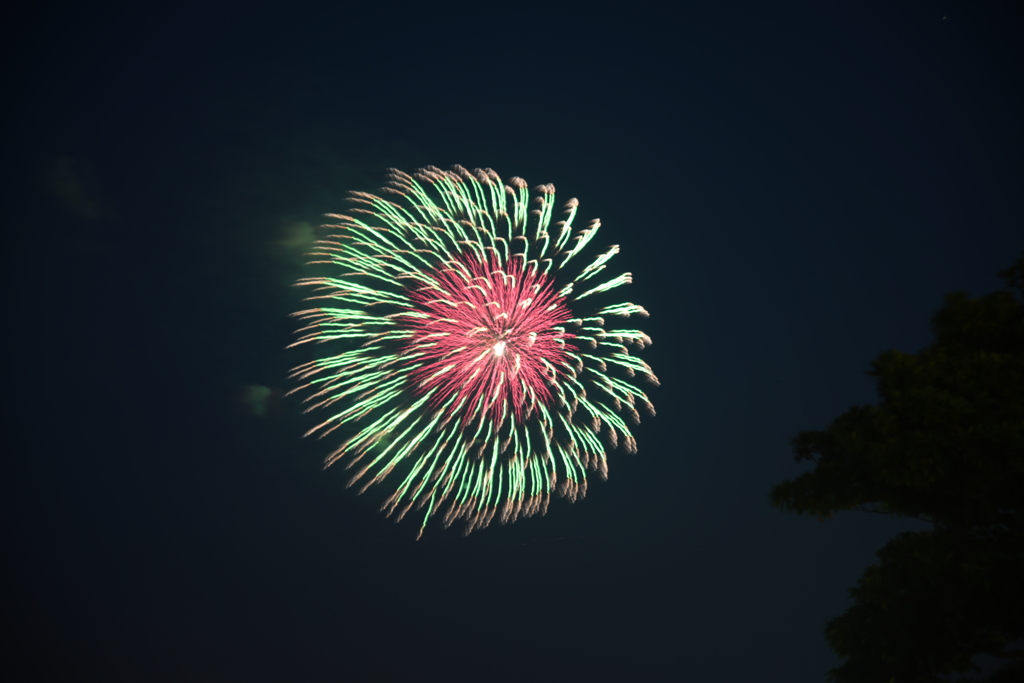 2018横浜スパークリング花火 その8