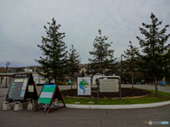 DSC00317