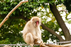 P1610204