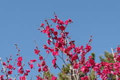 IMGP0195