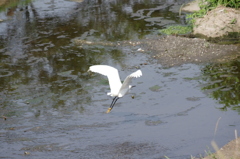 IMGP3397