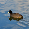 IMGP0281