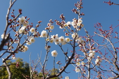 IMGP0202