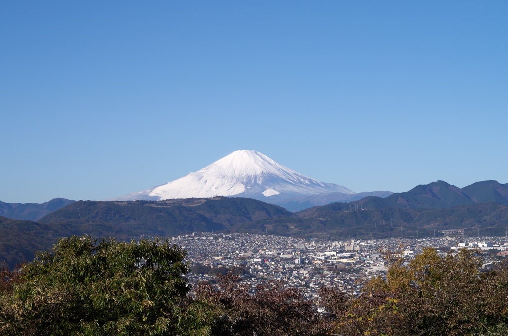 IMGP5536