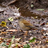 IMGP0356