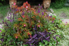 IMGP1586
