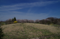 IMGP0525