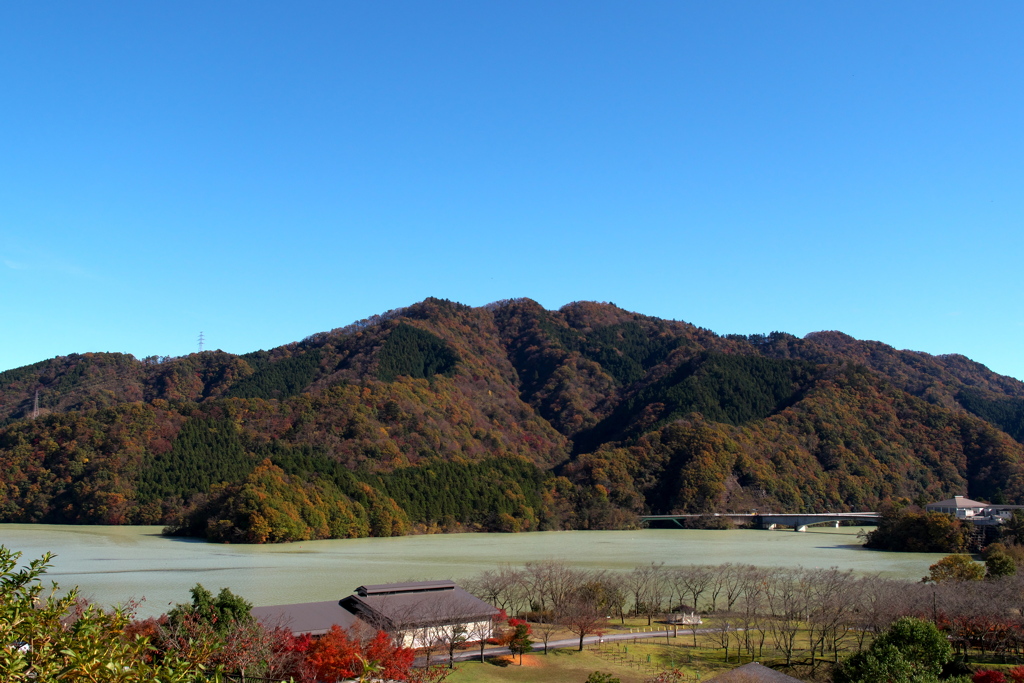 IMGP2372
