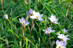 IMGP9647
