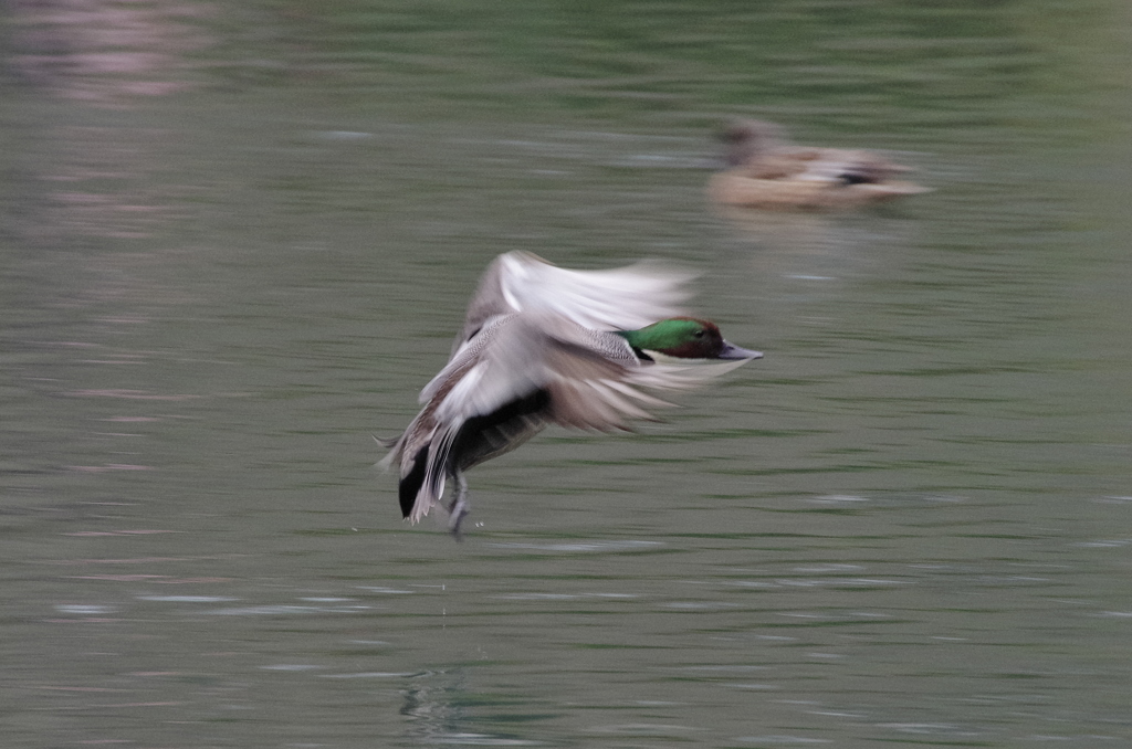 IMGP1289bu5