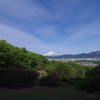 IMGP5464