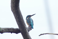 IMGP0326