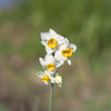 IMGP0045