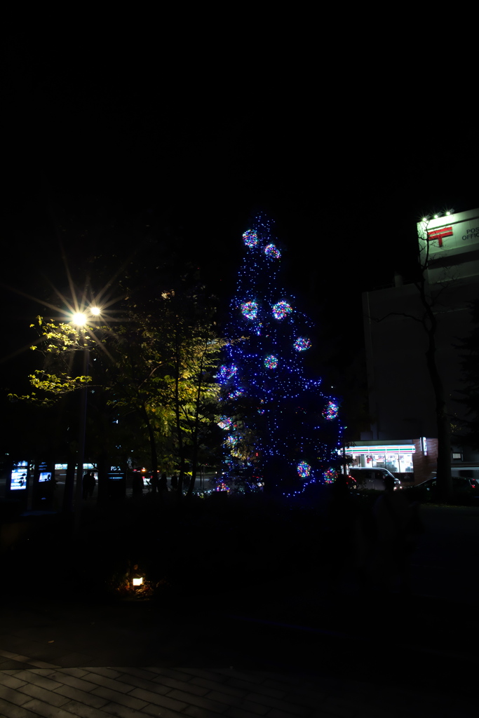 IMGP1689