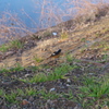 IMGP0079