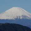 IMGP6118u5