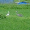IMGP7777bu5