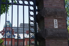 IMGP0513