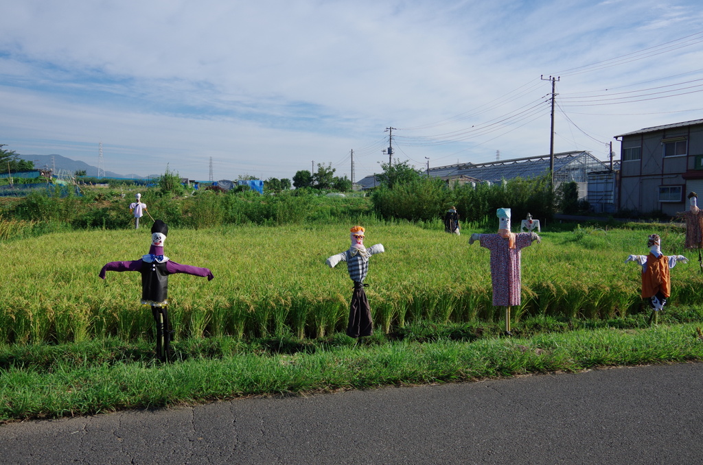 IMGP2869