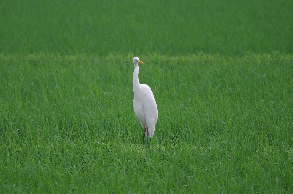 IMGP5871bu5